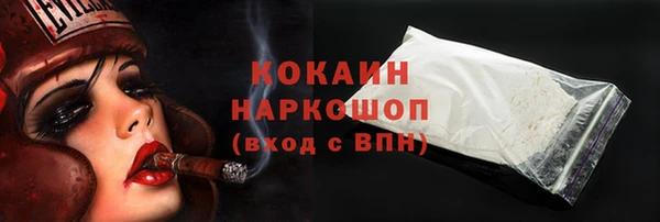 стаф Вяземский