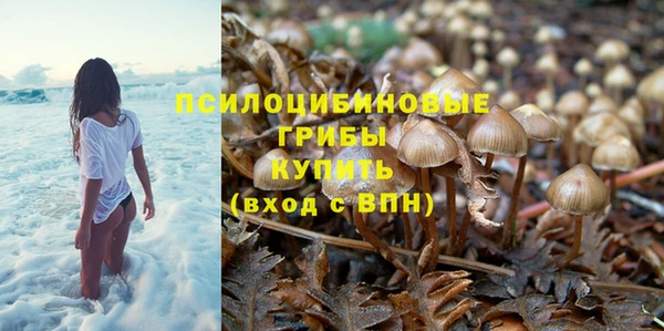 стаф Волоколамск
